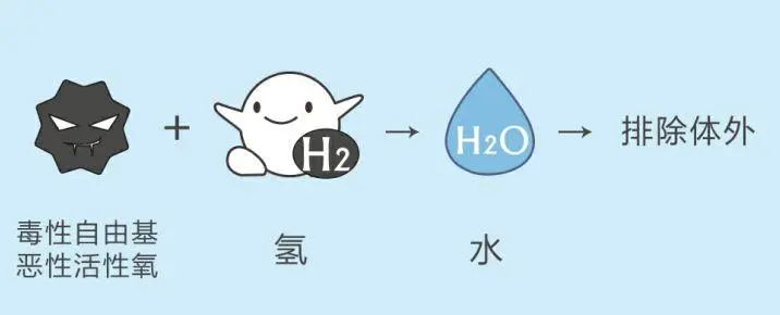 喝(hē)茶不能(néng)代替喝(hē)水(图5)